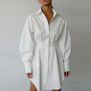 Simple Fold Pleated Detail Shirt Mini Dress