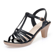 Elegant Open Toe T-Strap Thick Heeled Sandals