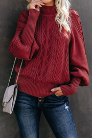 Long Sleeves Pullover Knit Sweater