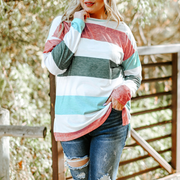 Stylish Plus Size Colorblock Pullover Top