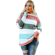 Stylish Plus Size Colorblock Pullover Top