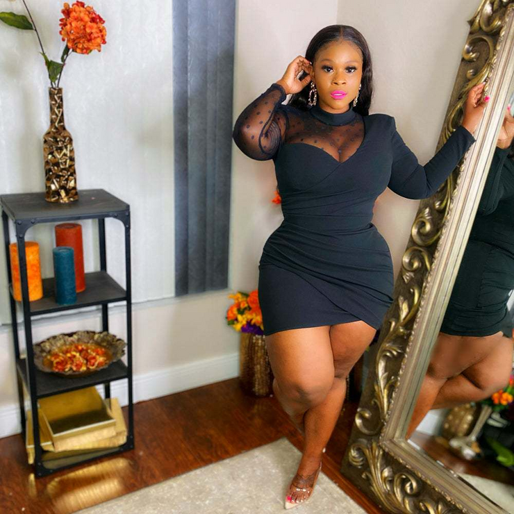 Black Plus Size Contrast Mesh Ruched Bodycon Dress