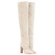 Suede Pointed Toe Chunky Heel Over The Knee Boots