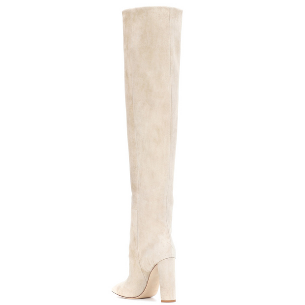 Suede Pointed Toe Chunky Heel Over The Knee Boots